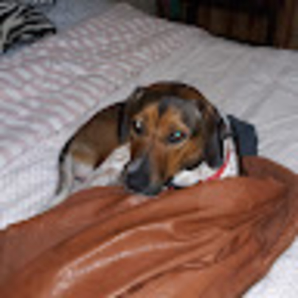 Meet your Posher, Mary